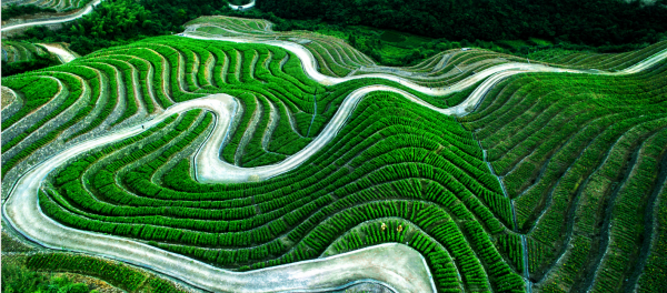 1575863348759755.png image.png