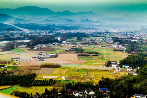 1575863408872535.jpg 3.jpg